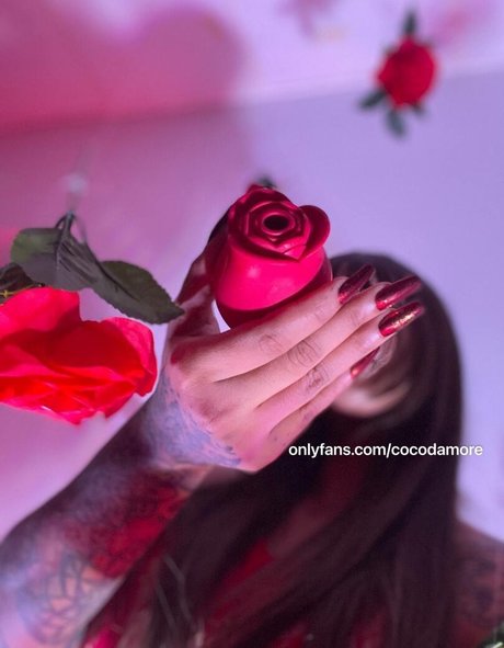 Cocodamore leaked onlyfans photos