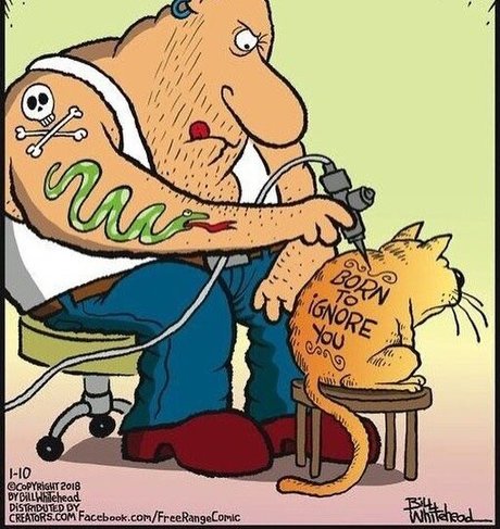 realbody001 onlyfans model images