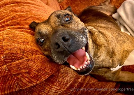 mandersoncooperfree only fans pictures