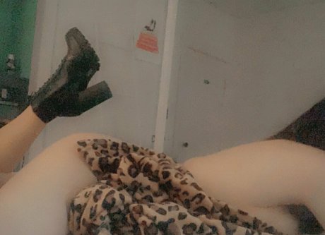 babygirlbrdlfree leaked onlyfans nudes