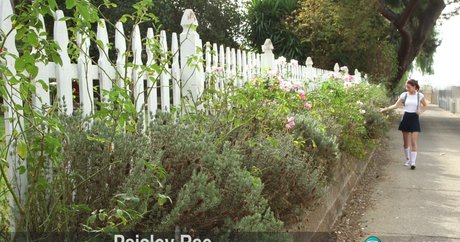 Paisley Rae naked onlyfans