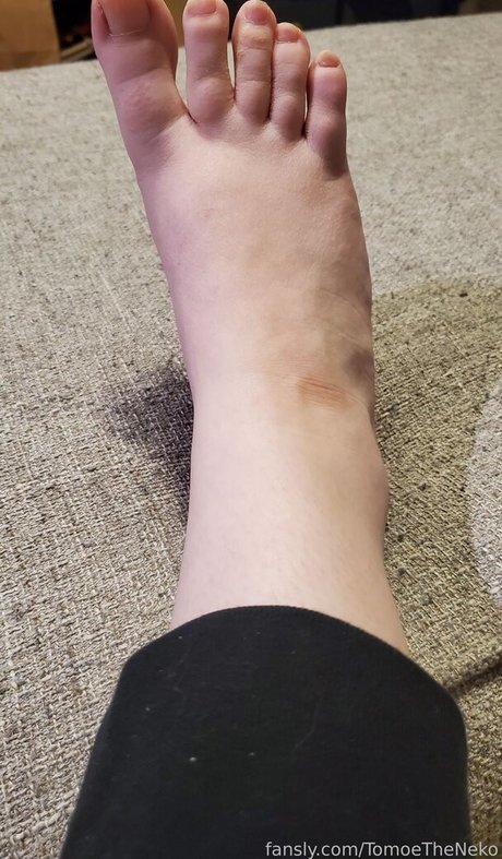 TomoeTheNeko free onlyfans