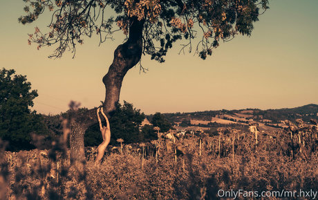 mr hxly onlyfans nudes porn