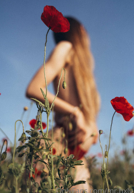 mr hxly leaks only fans