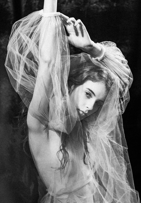 mr hxly onlyfans public photos