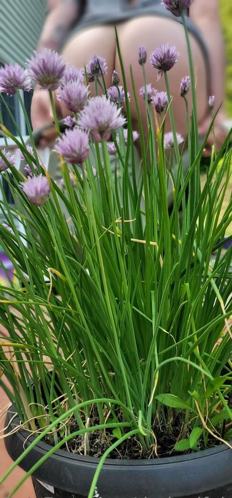 darkreifree onlyfans creator