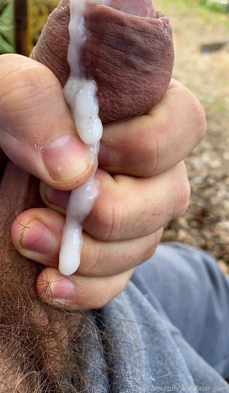 wild boar giant onlyfans fuck