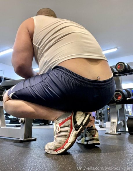 wild boar giant onlyfans archive