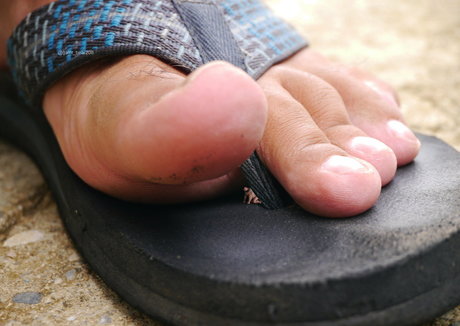 wild boar giant leaked onlyfans