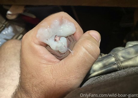 wild boar giant nude leaks onlyfans
