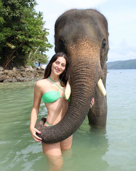 Tatiana Schwartz onlyfans pics nude