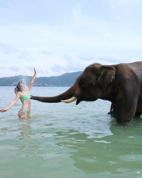 Tatiana Schwartz leaked onlyfans