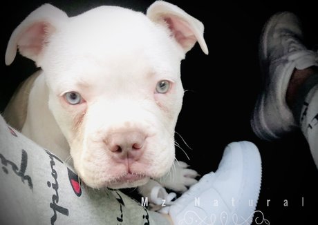 Naturalsworld onlyfans free porn