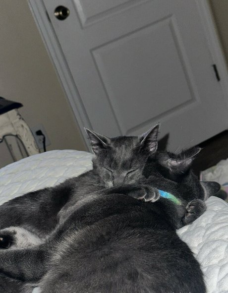 maddylovings leaked onlyfans pics