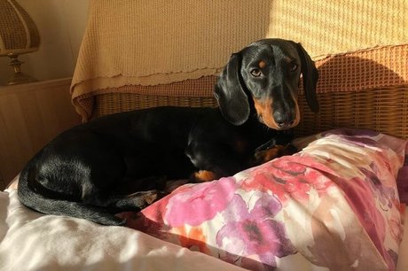 Angelica Sharpe onlyfans exposed