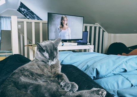 handjob joi onlyfans beautiful xxx artwork