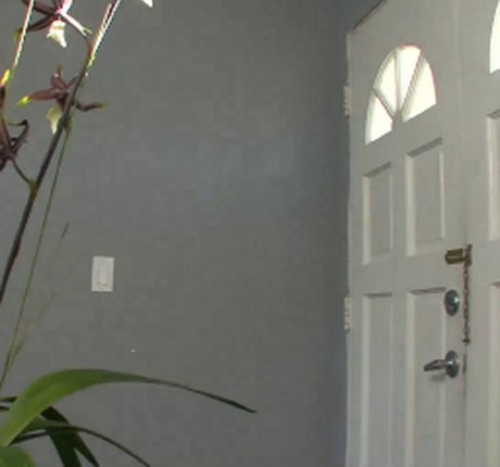 Tiffany Tyler onlyfans nude