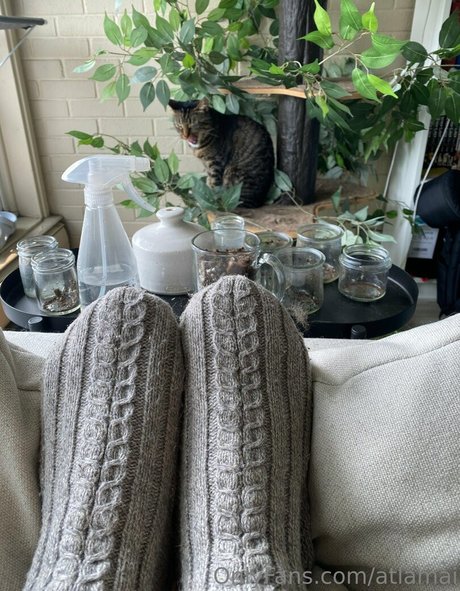 atlamai onlyfans archive