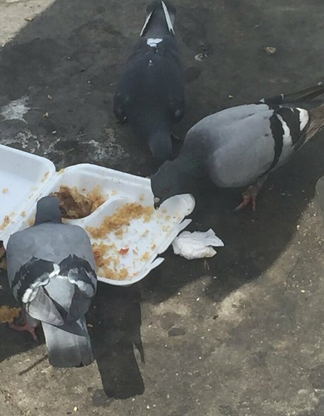 illtakeeverything joi onlyfans