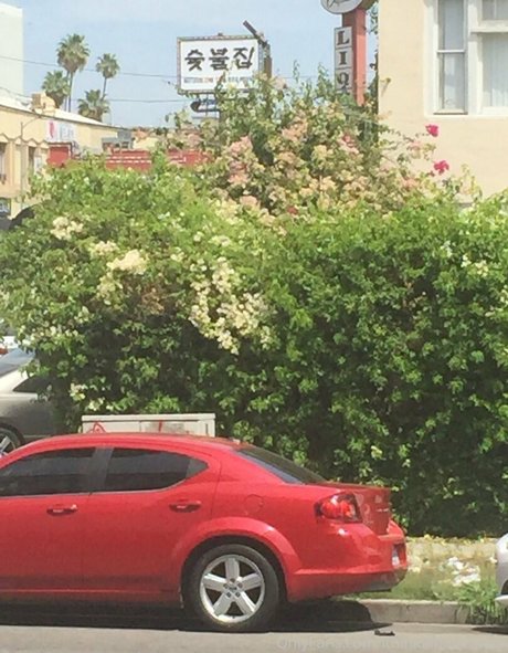 illtakeeverything onlyfans model