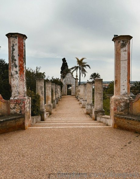 oliveglass nude leak onlyfans