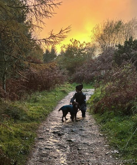 leorose01 onlyfans free porn