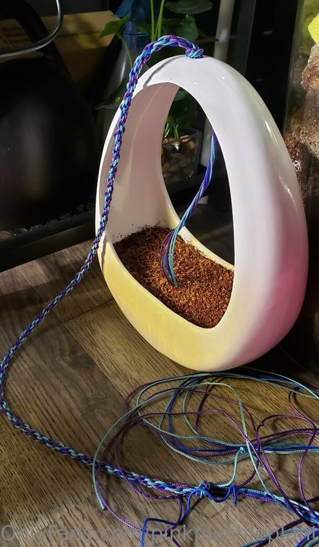 pinkplushieplants onlyfans leaked pics