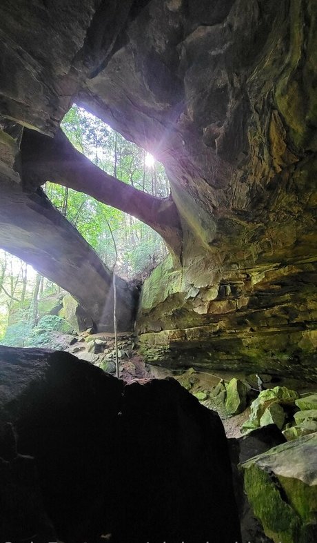 pinkplushieplants leaked onlyfans nude