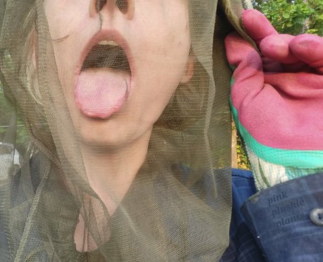 pinkplushieplants onlyfans explicit content