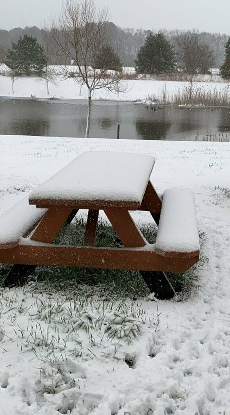 latina shemale onlyfans nude slide