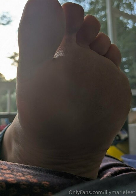 lilymariefeet onlyfans x