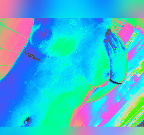 adamandlena free only fans