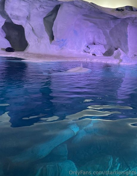 starrienights only fans leaks