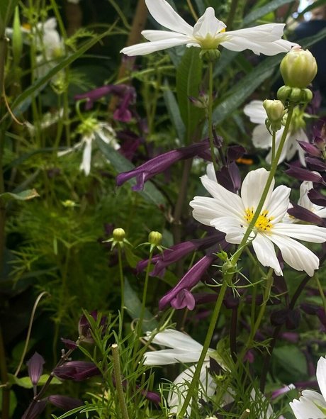 ebony teen onlyfans pretty plate