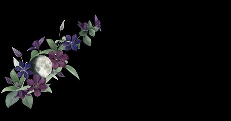 captivatingkaalia Profile image