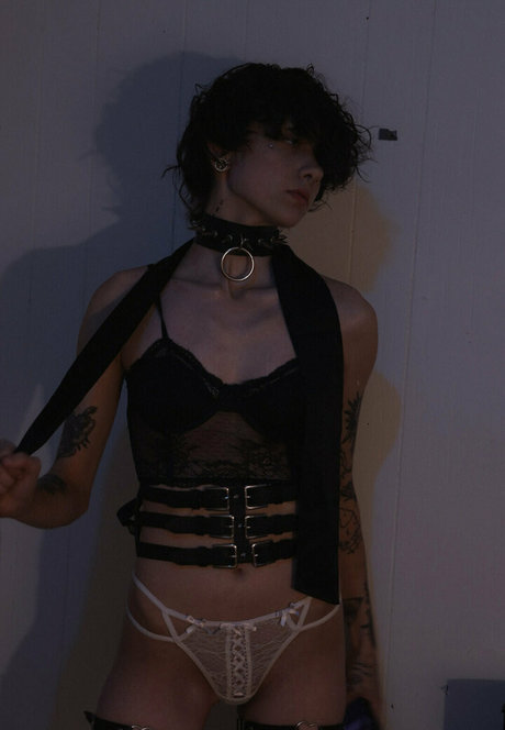 seriouslyzippy onlyfans nudes