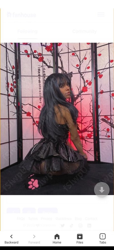 Moonkiller17 leaked onlyfans xxx