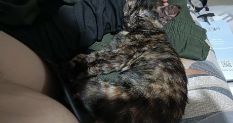 kittylunna leaks onlyfans porn