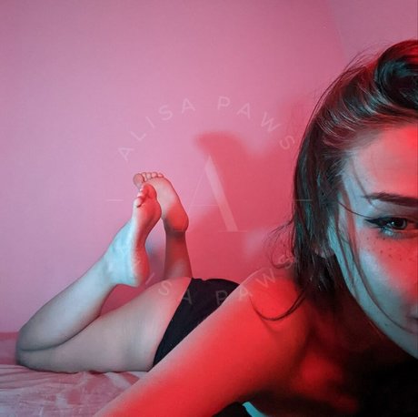 Alisa Paws onlyfans leaked dirtyship