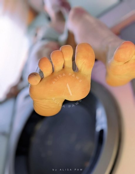 Alisa Paws onlyfans leake