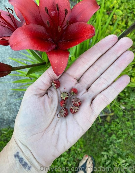 madam muriel leaked only fans porn