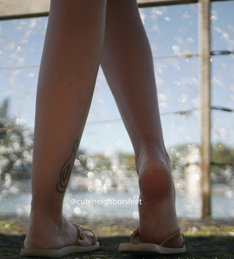cuteneighborsfeet leaked onlyfans.