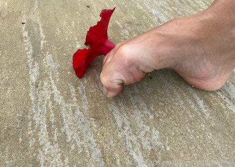 chubby kitty onlyfans hot xxx view