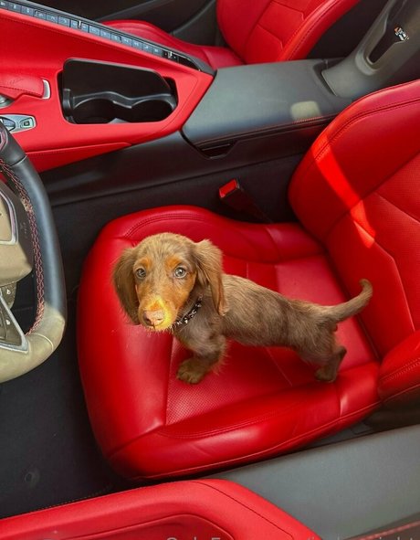 indywright onlyfans sexy