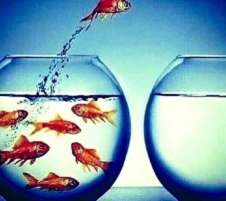 Kendall Jenner Ai Porn onlyfans keak