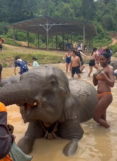 Venorika onlyfans leak new