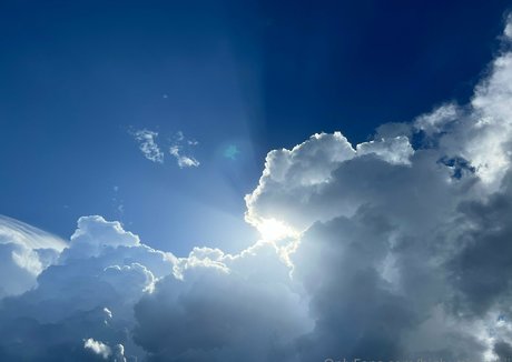 vanessaselene only fans