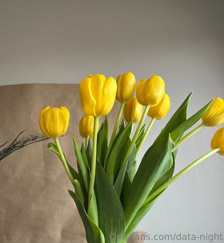 data night leaked onlyfans