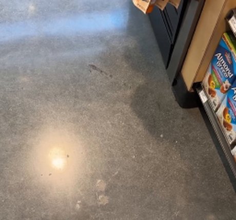 Gianna Dior onlyfans nudes porn