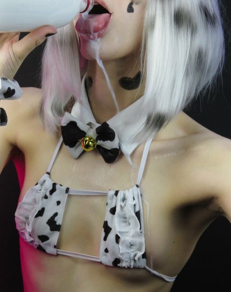 Scaredy Cat Cosplays onlyfans creator